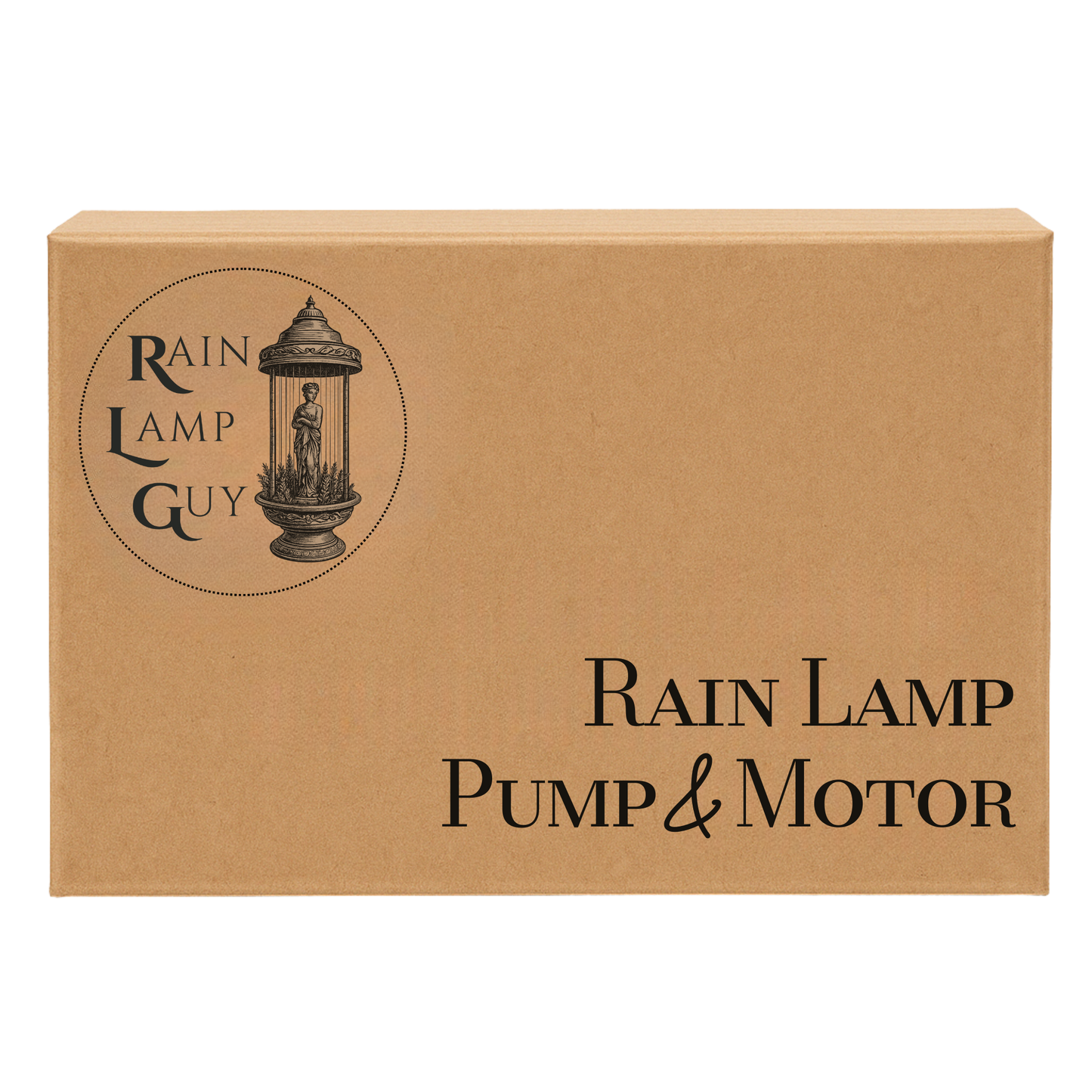 Oil Rain Lamp Modernized Pump Replacement Kit - New Pump & Motor